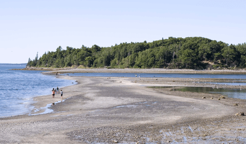 Bar Island