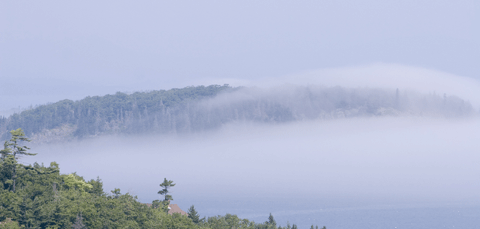 Island Fog