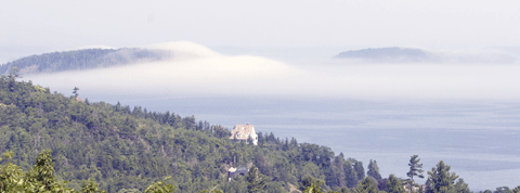 Island Fog