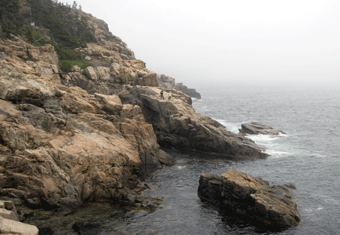Ocean Path 2