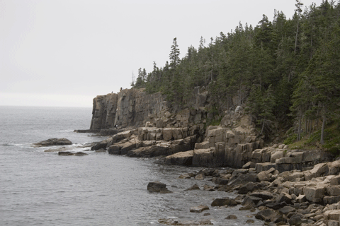 Otter Cliff