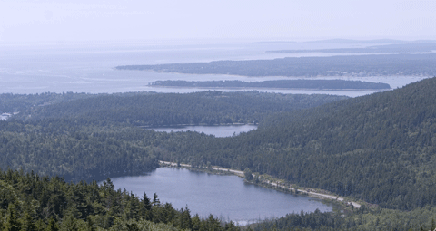 Parkman View