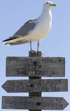 Parkman Peak