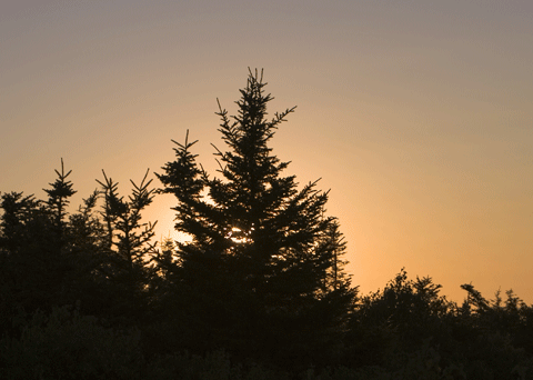 Sunset 2