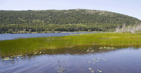 Upper Hadlock Pond