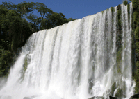 salto bossetti