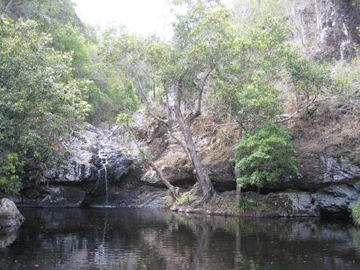 Waterhole