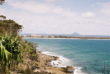 Noosa Beach