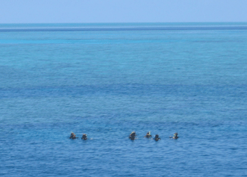 Dive Group