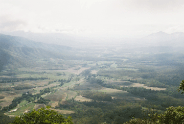 Eungella valley