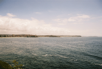 Manly beaches