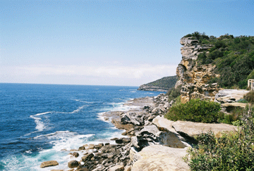 Manly lookout